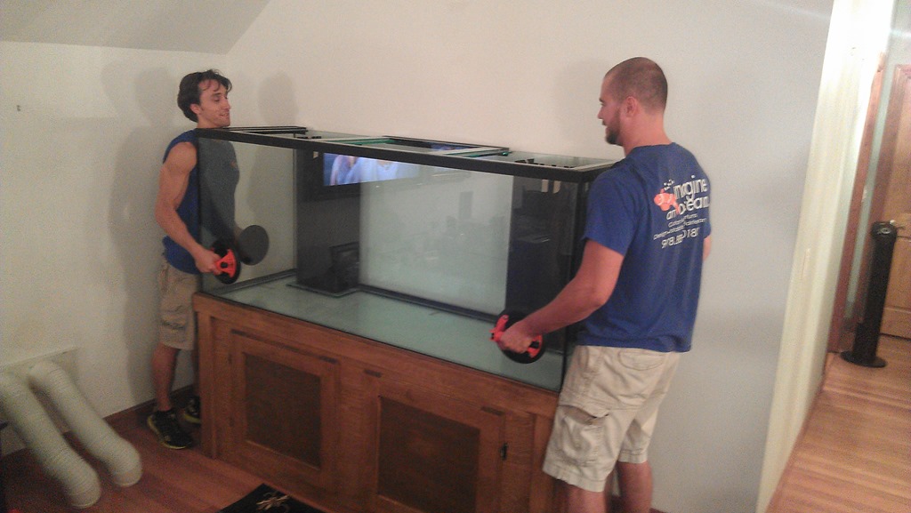 Aquariums-Moved-Safely