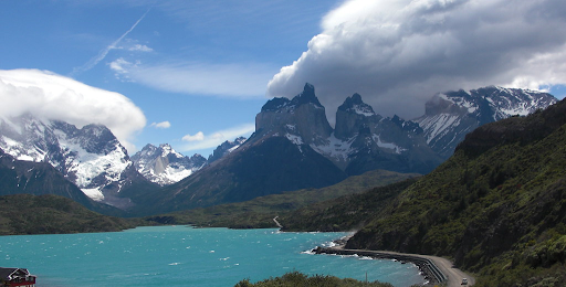 Torres del Paine National forest